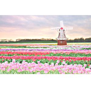 青青青在线视频免费观看视频
