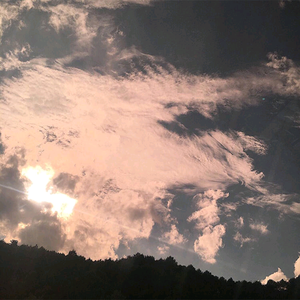 青青青在线视频免费观看视频
